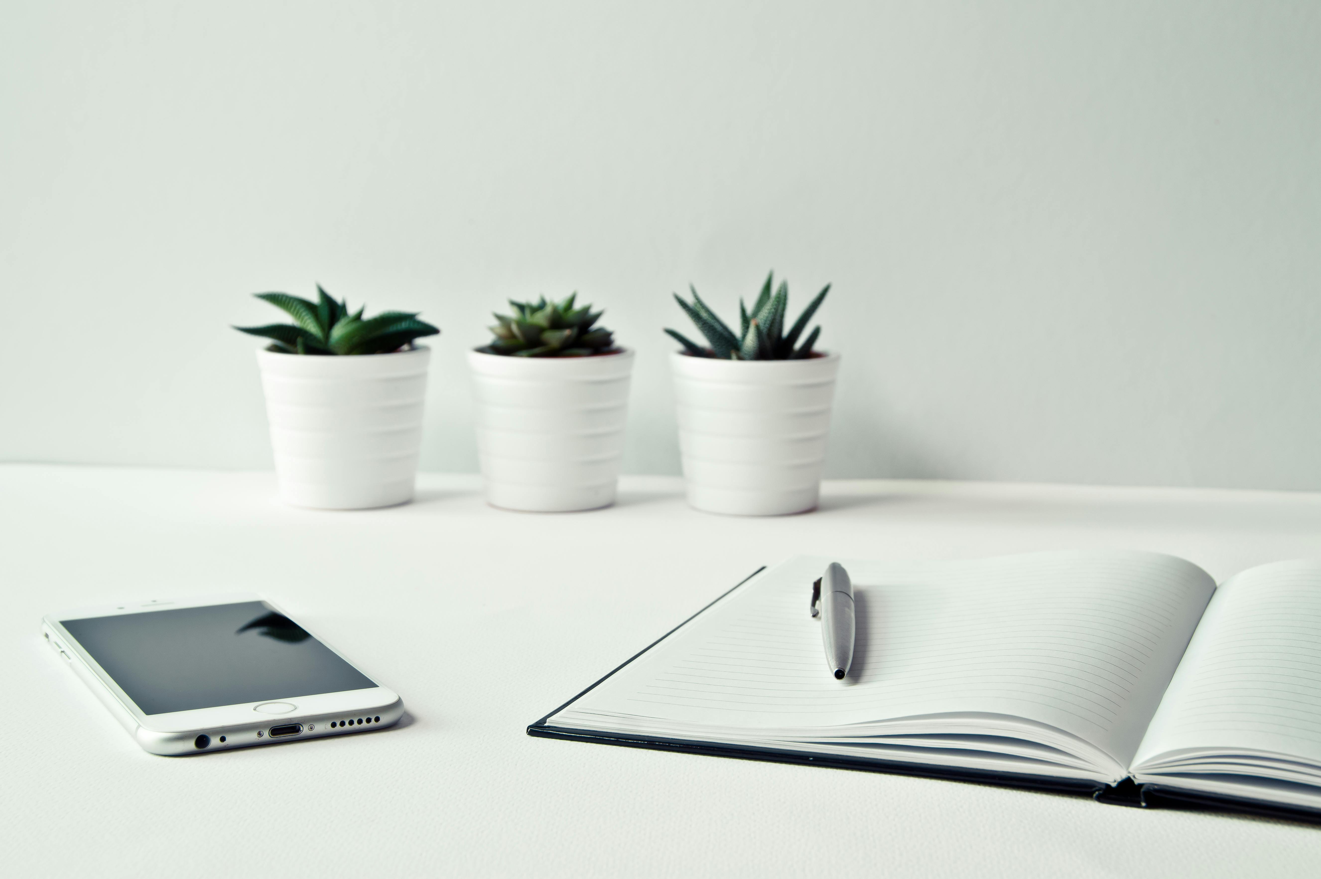 Three plants, smartphone, and notebook